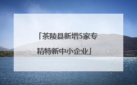 茶陵县新增5家专精特新中小企业