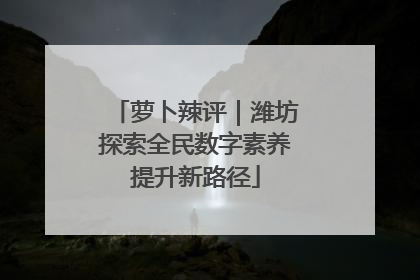 萝卜辣评｜潍坊探索全民数字素养提升新路径