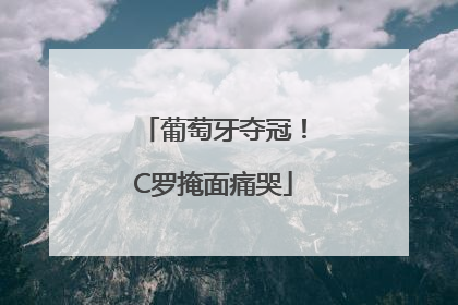 葡萄牙夺冠！C罗掩面痛哭