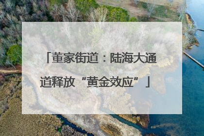 董家街道：陆海大通道释放“黄金效应”