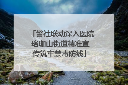 警社联动深入医院 珞珈山街道精准宣传筑牢禁毒防线