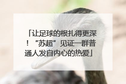 让足球的根扎得更深！“苏超”见证一群普通人发自内心的热爱
