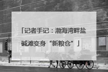记者手记：渤海湾畔盐碱滩变身“新粮仓”