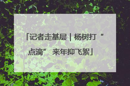 记者走基层｜杨树打“点滴” 来年抑飞絮