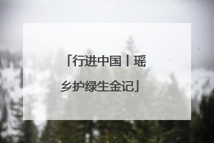 行进中国丨瑶乡护绿生金记