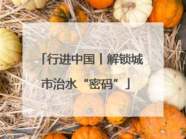 行进中国丨解锁城市治水“密码”