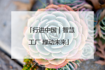 行进中国｜智慧工厂 绿动未来