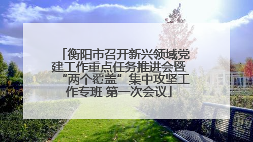衡阳市召开新兴领域党建工作重点任务推进会暨“两个覆盖”集中攻坚工作专班 第一次会议