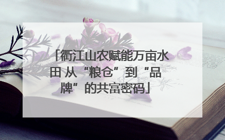 衢江山农赋能万亩水田 从“粮仓”到“品牌”的共富密码