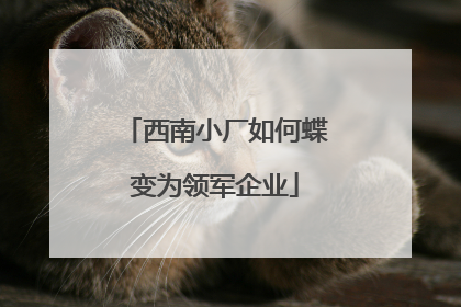 西南小厂如何蝶变为领军企业