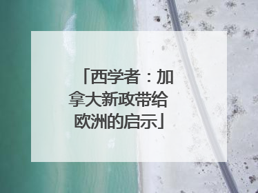 西学者：加拿大新政带给欧洲的启示