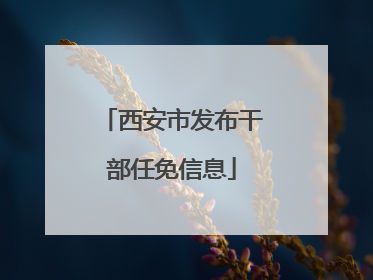 西安市发布干部任免信息