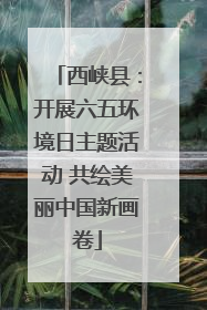 西峡县：开展六五环境日主题活动 共绘美丽中国新画卷
