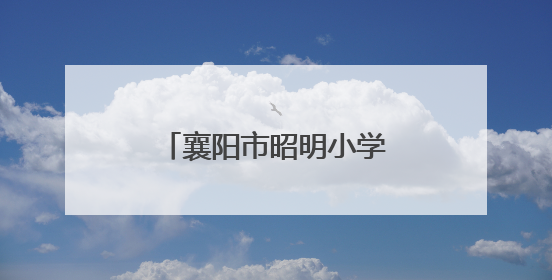 襄阳市昭明小学球类竞赛获佳绩