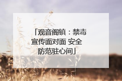 观音阁镇：禁毒宣传面对面 安全防范驻心间