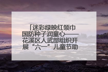 迷彩绿映红领巾 国防种子润童心——花溪区人武部组织开展“六一”儿童节助学兴教活动