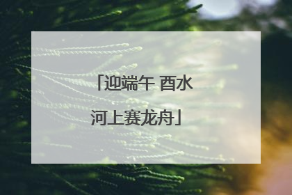 迎端午 酉水河上赛龙舟