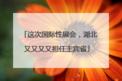 这次国际性展会，湖北又又又又担任主宾省