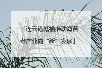 连云港赣榆推动海苔老产业向“新”发展