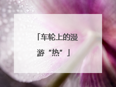 车轮上的漫游“热”