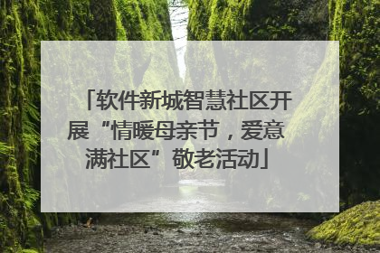 软件新城智慧社区开展“情暖母亲节，爱意满社区”敬老活动