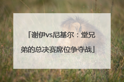 谢伊vs尼基尔：堂兄弟的总决赛席位争夺战