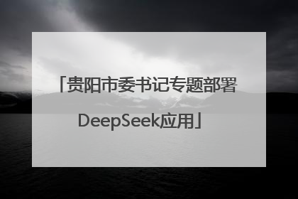 贵阳市委书记专题部署DeepSeek应用