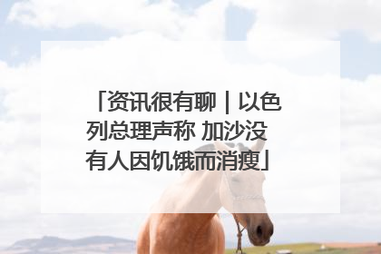 资讯很有聊｜以色列总理声称 加沙没有人因饥饿而消瘦
