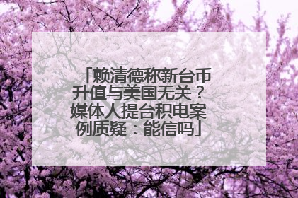赖清德称新台币升值与美国无关？媒体人提台积电案例质疑：能信吗