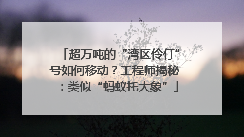 超万吨的“湾区伶仃”号如何移动？工程师揭秘：类似“蚂蚁托大象”