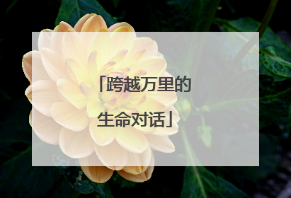 跨越万里的生命对话