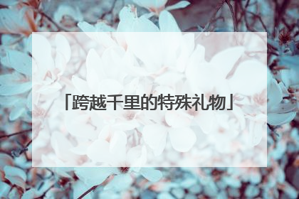 跨越千里的特殊礼物