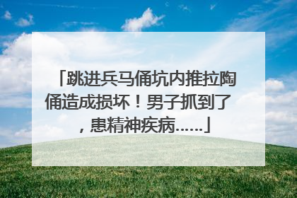 跳进兵马俑坑内推拉陶俑造成损坏！男子抓到了，患精神疾病……