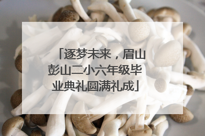 逐梦未来，眉山彭山二小六年级毕业典礼圆满礼成