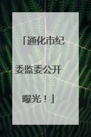 通化市纪委监委公开曝光！