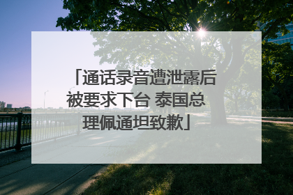通话录音遭泄露后被要求下台 泰国总理佩通坦致歉