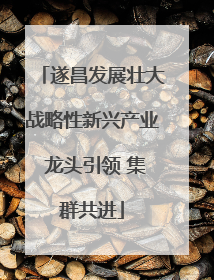 遂昌发展壮大战略性新兴产业 龙头引领 集群共进