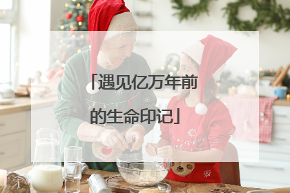 遇见亿万年前的生命印记