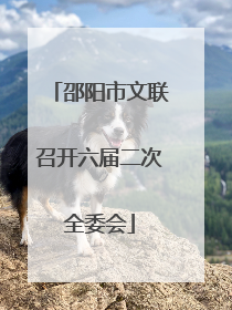邵阳市文联召开六届二次全委会