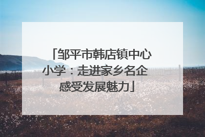 邹平市韩店镇中心小学：走进家乡名企 感受发展魅力