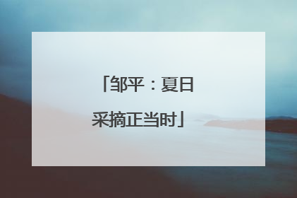 邹平：夏日采摘正当时