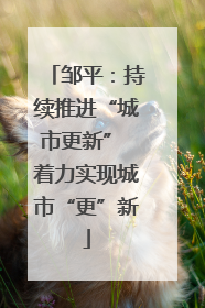 邹平：持续推进“城市更新” 着力实现城市“更”新