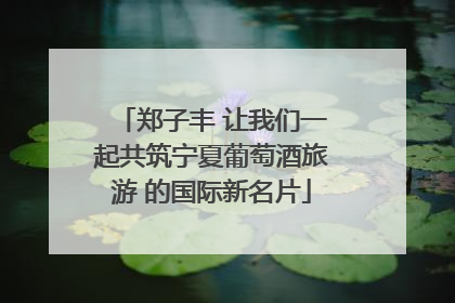 郑子丰 让我们一起共筑宁夏葡萄酒旅游 的国际新名片
