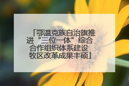 鄂温克族自治旗推进“三位一体”综合合作组织体系建设 牧区改革成果丰硕
