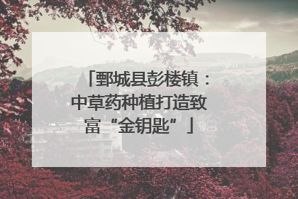 鄄城县彭楼镇：中草药种植打造致富“金钥匙”