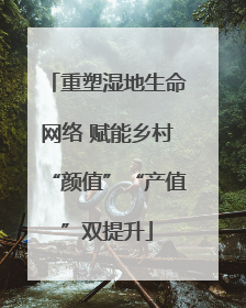 重塑湿地生命网络 赋能乡村“颜值”“产值”双提升