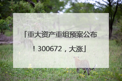 重大资产重组预案公布！300672，大涨