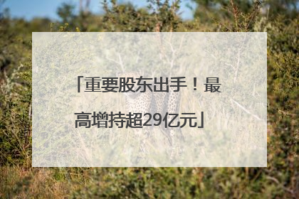 重要股东出手！最高增持超29亿元