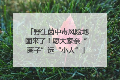 野生菌中毒风险地图来了！愿大家亲“菌子”远“小人”