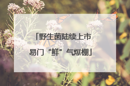 野生菌陆续上市 易门“鲜”气爆棚